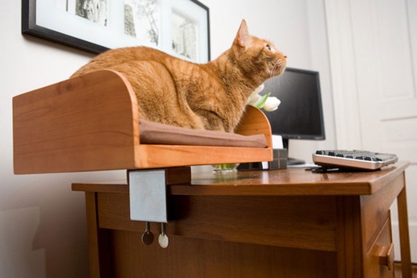 desktop-cat-bed-4