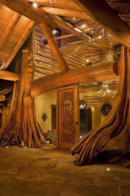 entrance-tree-house