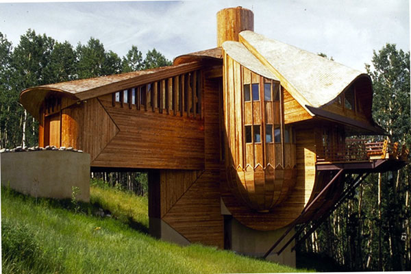 Crested-Butte-Residence