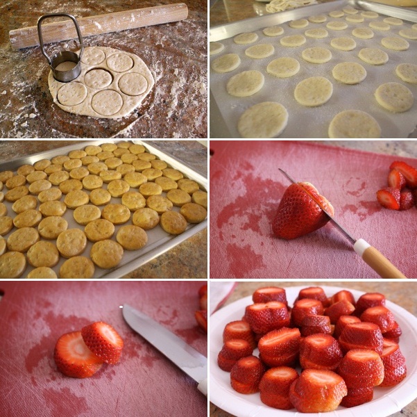 Strawberry-Shortcake-Skewers-1