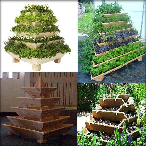 Triolife-Plant-Pyramid