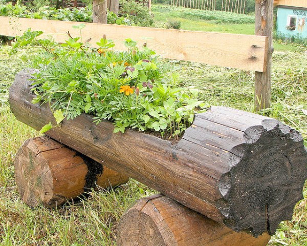 hollowed-log-planter-3