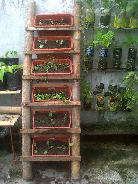planter-ladder