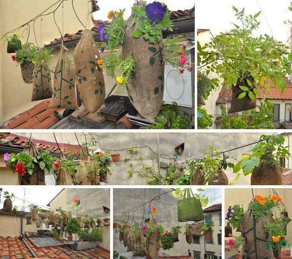 hanging-garden-using-sacks