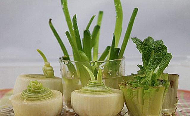 Leeks-Fennel-and-Green-Onions