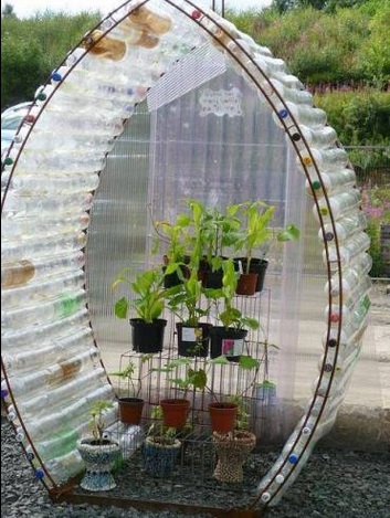 bottle-greenhouse
