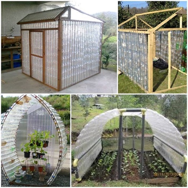plastic-bottle-greenhouse