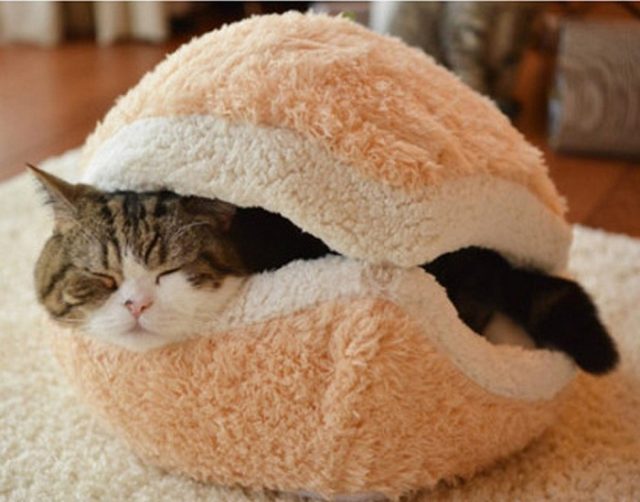 Hamburger-Pet-Cats-Beds-Kitty