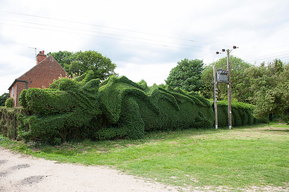 Gardner-shapes-dragon-hedge