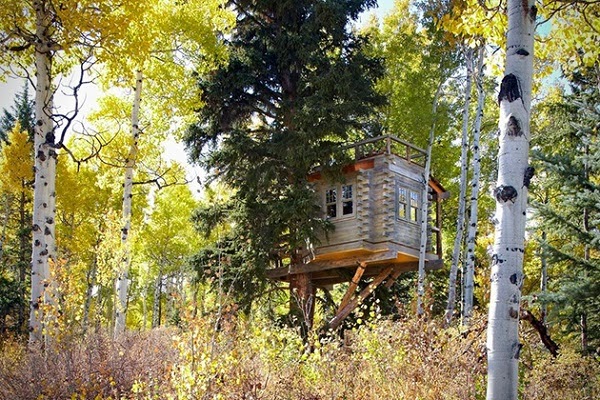 Tree-House-in-Colorado-4