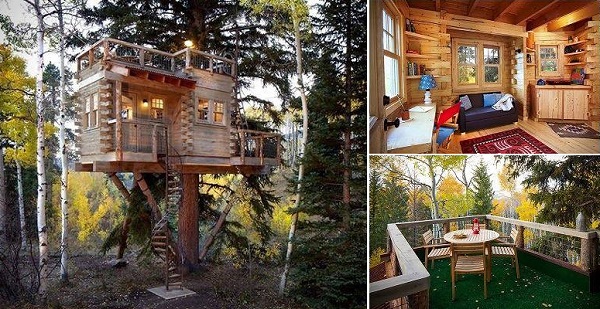 Tree-House-in-Colorado-fb