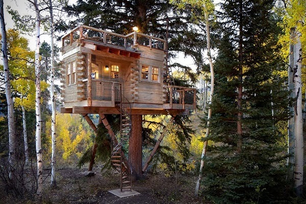 Tree-House-in-Colorado