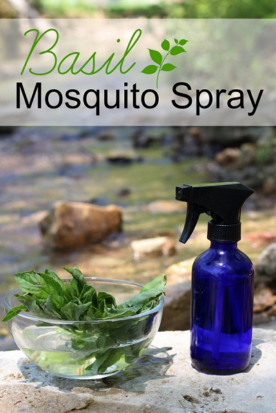 basil-mosquito-spray-1