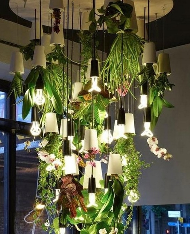 Hanging-Plant-Lights