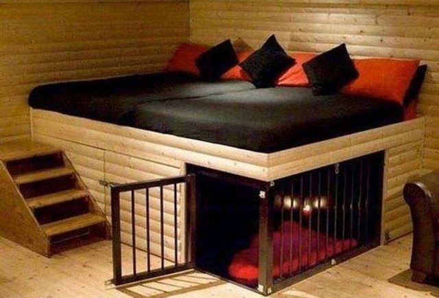 bedroom-for-dogs-2