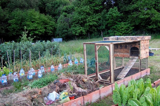chicken-coop-with-pallets-1