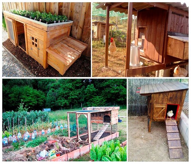 chicken-coop-with-pallets