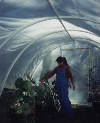 free-greenhouse-plans-10