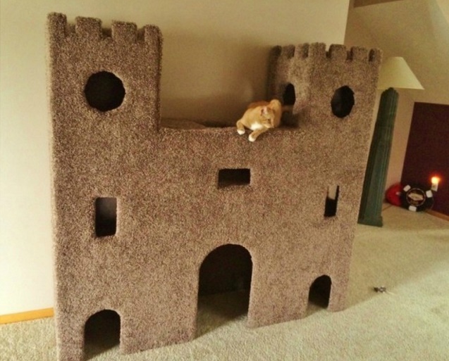 Plywood-Cat Castle-5