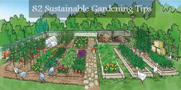 Sustainable-Garden-Lead-home-design