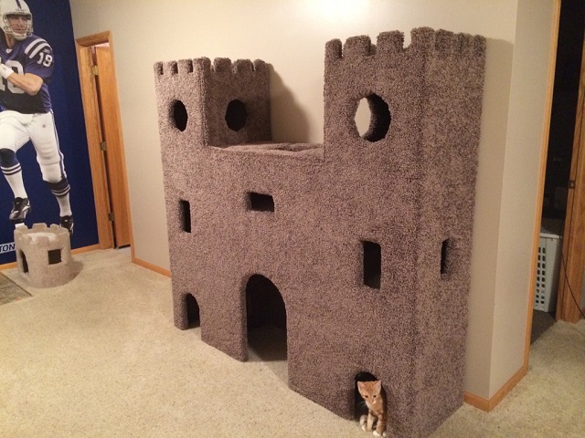 cat-castle
