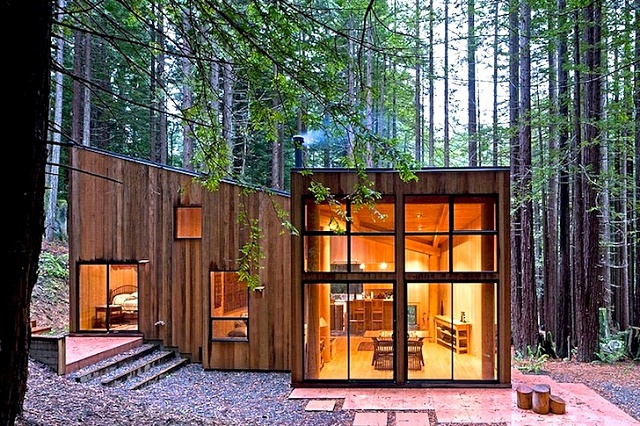 residence-in-woods-2