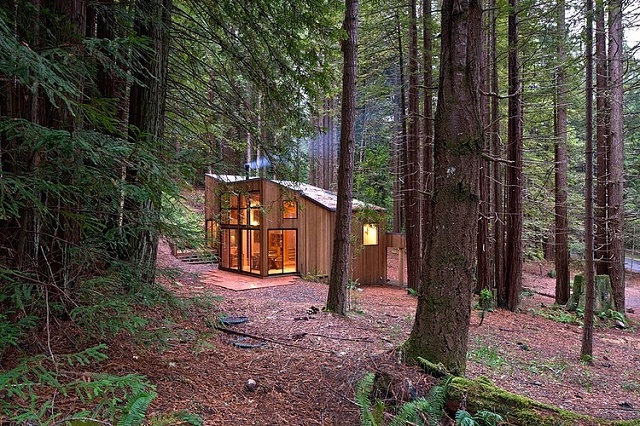 residence-in-woods-7