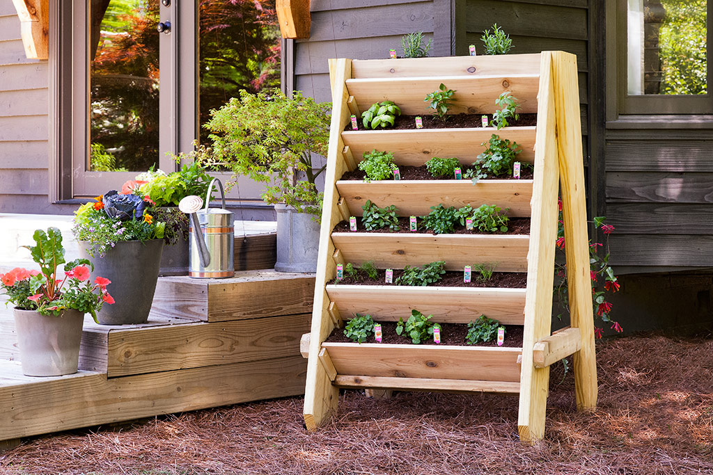 vertical-lettuce-planter-home-design-1
