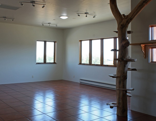 indoor-cat-tree-1