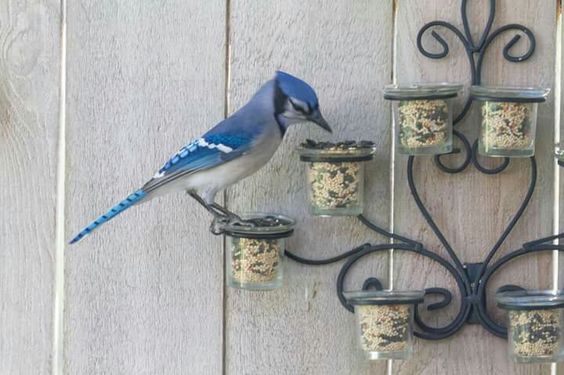 Repurpose-old-tea-candle-holders-into-pretty-bird-feeders