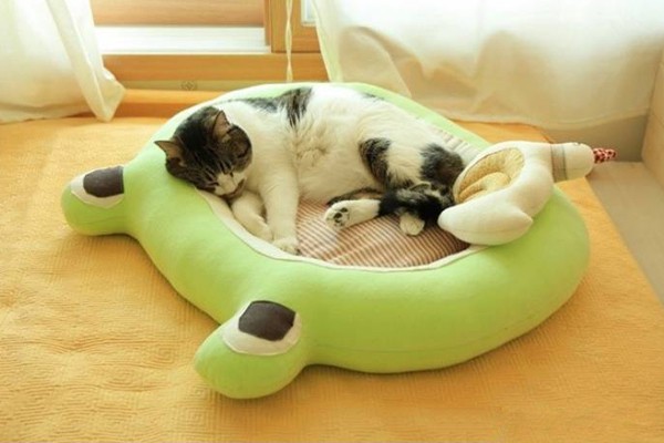 Smooth-Bed-For-Cats-10