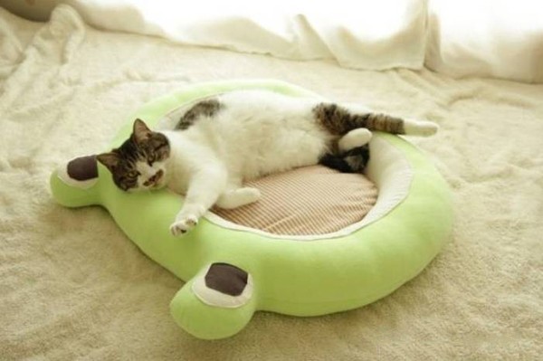Smooth-Bed-For-Cats-8