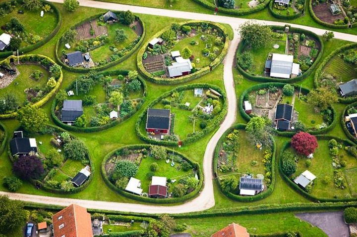 oval-allotment-gardens-1