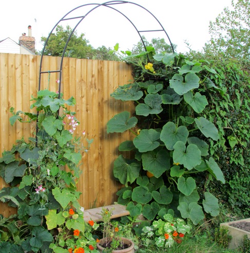 how-To-Build-Squash-Arch-2