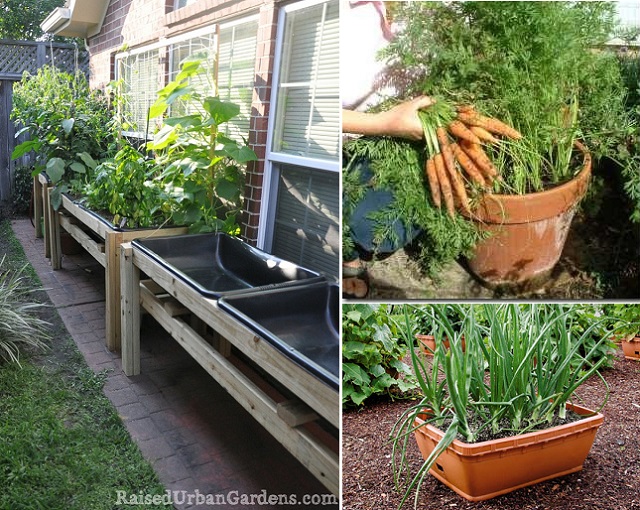 Comment planter des légumes dans un petit jardin