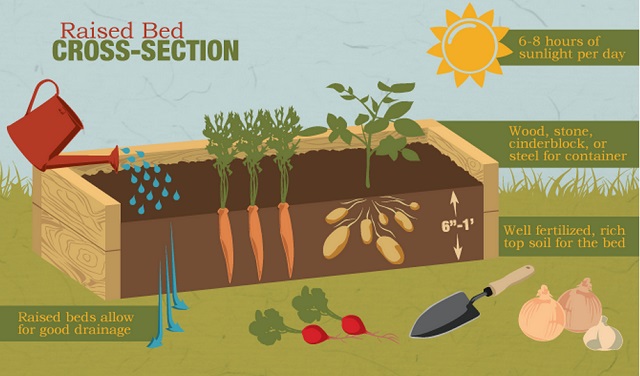 Raised-beds-guide