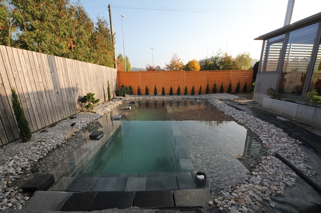 natural-swimming-pool-15
