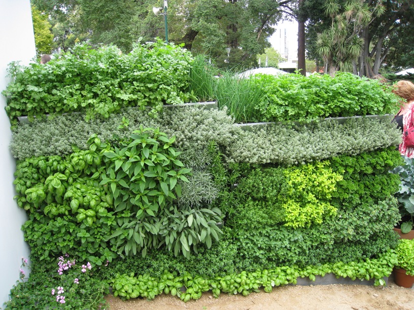 salad-vertical-garden-7