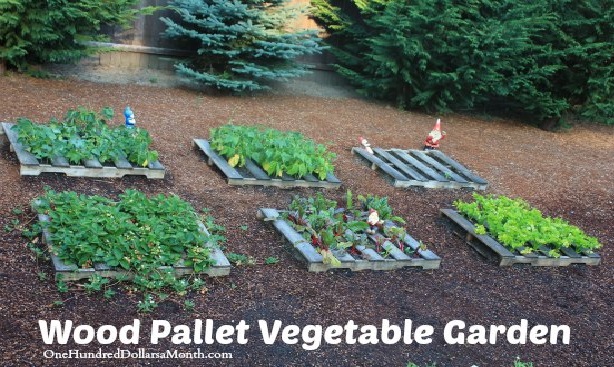 pallet-garden2