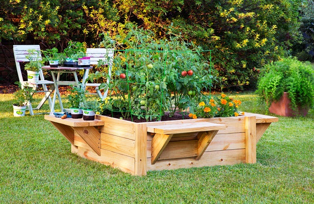 raised-bed-with-benches-home-design