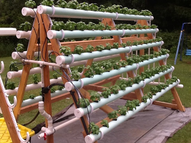 vertical-hydroponic-system-5