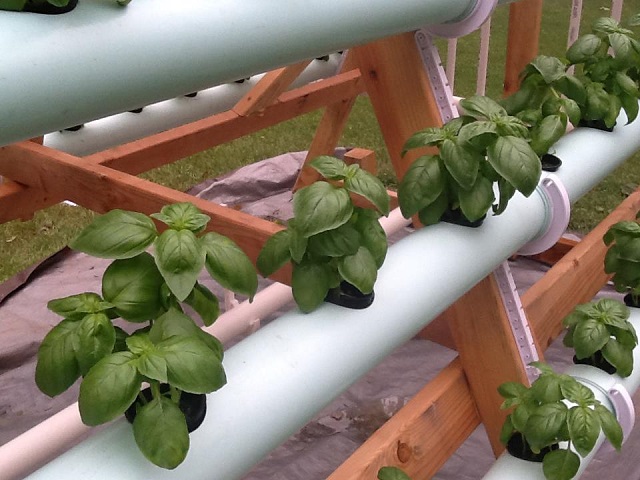 vertical-hydroponic-system-6