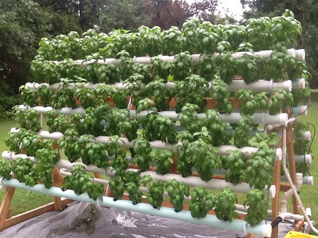 vertical-hydroponic-system-9