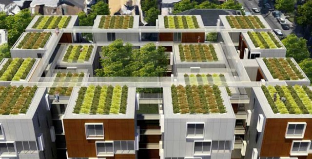 France-Rooftops-With-Plants-Or-Solar-Panels