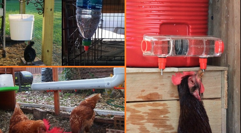 5. DIY Chicken Watering Hole (and Other Critters Too) Easy Fill Chicken Wat...