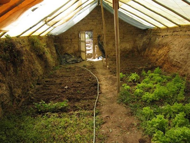 greenhouse-underground