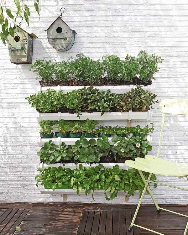 Vertical-Vegetable-Garden-Ideas-1