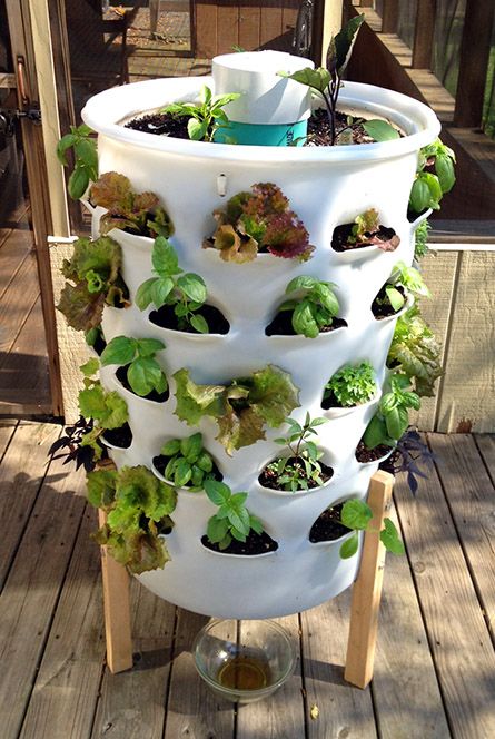 Vertical-Vegetable-Garden-Ideas-13