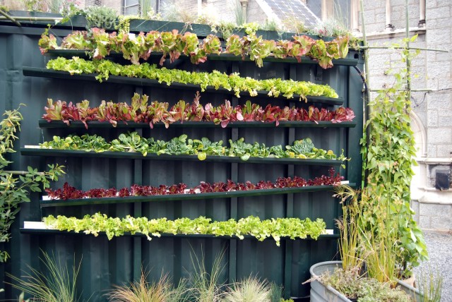 Vertical-Vegetable-Garden-Ideas-17