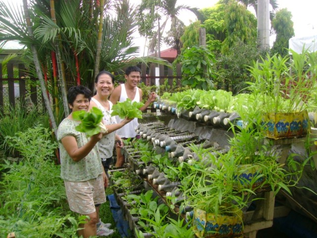 Vertical-Vegetable-Garden-Ideas-20